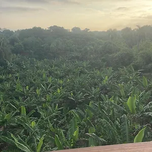 complejo-ecoturistico-rancho-cielo.comcaribbean.com/
